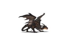 Wings Dragons white background artwork MAGMA fantasy art