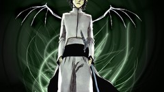 Wings green eyes bleach Espada Ulquiorra Cifer skeletal