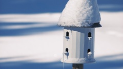 Winte rscenes nesting-box feeder