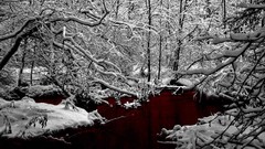 Winter blood rivers
