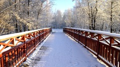 Winter Bridges