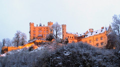 Winter Castles Hogenschwangau
