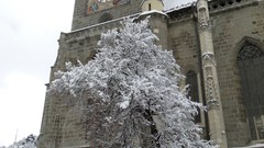 Winter cities Brasov