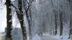 Winter cities Brasov
