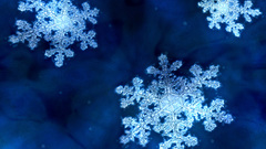 Winter cold abstract snow