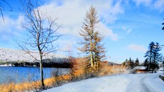 Winter cold Turkey bolu