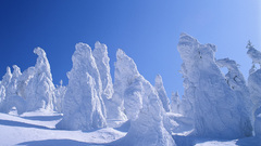 Winter field ice natural disasters