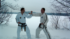 Winter Martial Arts Art