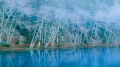 Winter national park crescent