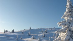 Winter paper ) With ing 1280 1024