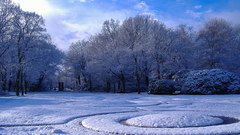 Winter scene need these