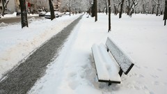Winter snow bench sidewalks