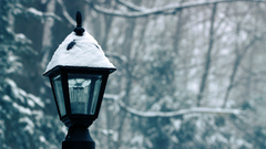 Winter snow lamp posts