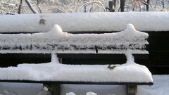 Winter snow park bench