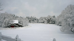 Winter snow scenery ranch
