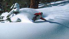 Winter snow Snowboarding
