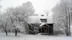Winter snow Trees House