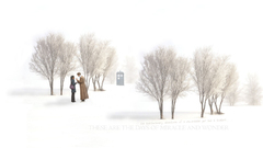 Winter snow Trees tardis