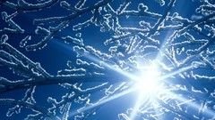 Winter snowflakes TV shows