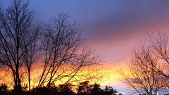 Winter sunrise by sunowl