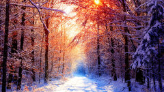 Winter trail could thread snowy get goin