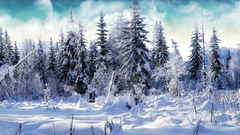 Winter Wonderland apparently thought