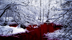 Winterblood winter as we