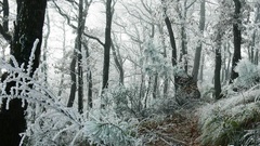 Winters path high Resolution