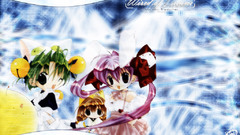 Wired of dreams Manga