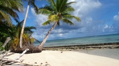 Woleai Islands Tegailap
