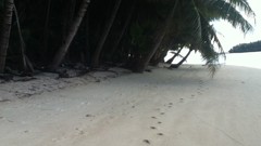 Woleai Islands Tegailap