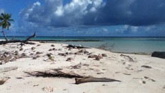 Woleai Islands Tegailap