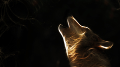 Wolf fractal high Resolution pimart