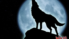 Wolfs rain