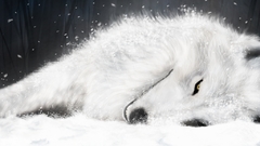 Wolfs rain