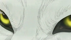 Wolfs rain Anime