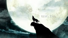 Wolfs rain kiba Wolves