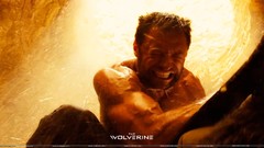 Wolverine Hugh Jackman the wolverine