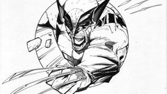 Wolverine series slash