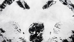 Wolves Alex Cherry vhm alex