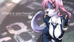 Wolves furry animals