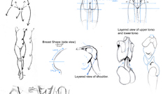 Woman anatomy how-tos drawings