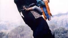 Woman Animals Horses