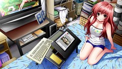 Woman Anime Computers anime girls redheads graphics tablets 