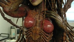 Woman Anime statues Zerg anime girls brunettes starcraft models 