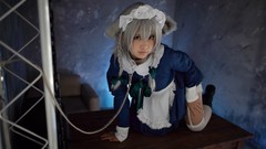 Woman asians maids gray hair touhou animal ears izayoi sakuya 