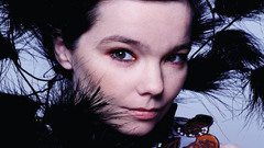 Woman Björk singers faces