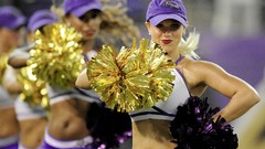 Woman blondes nfl baltimore ravens cheerleaders