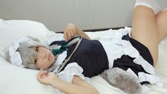 Woman bows asians maids braids gray hair touhou animal ears 