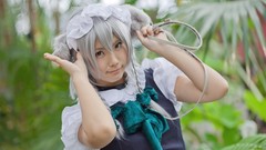 Woman bows asians maids braids gray hair touhou animal ears 